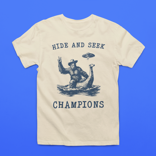 Hide and seek champions toddler